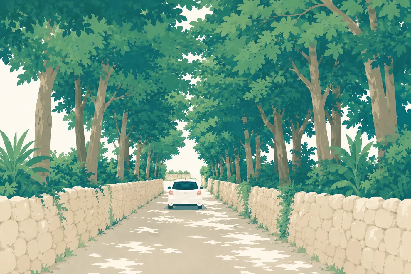 石垣とフクギ並木の細い旧道